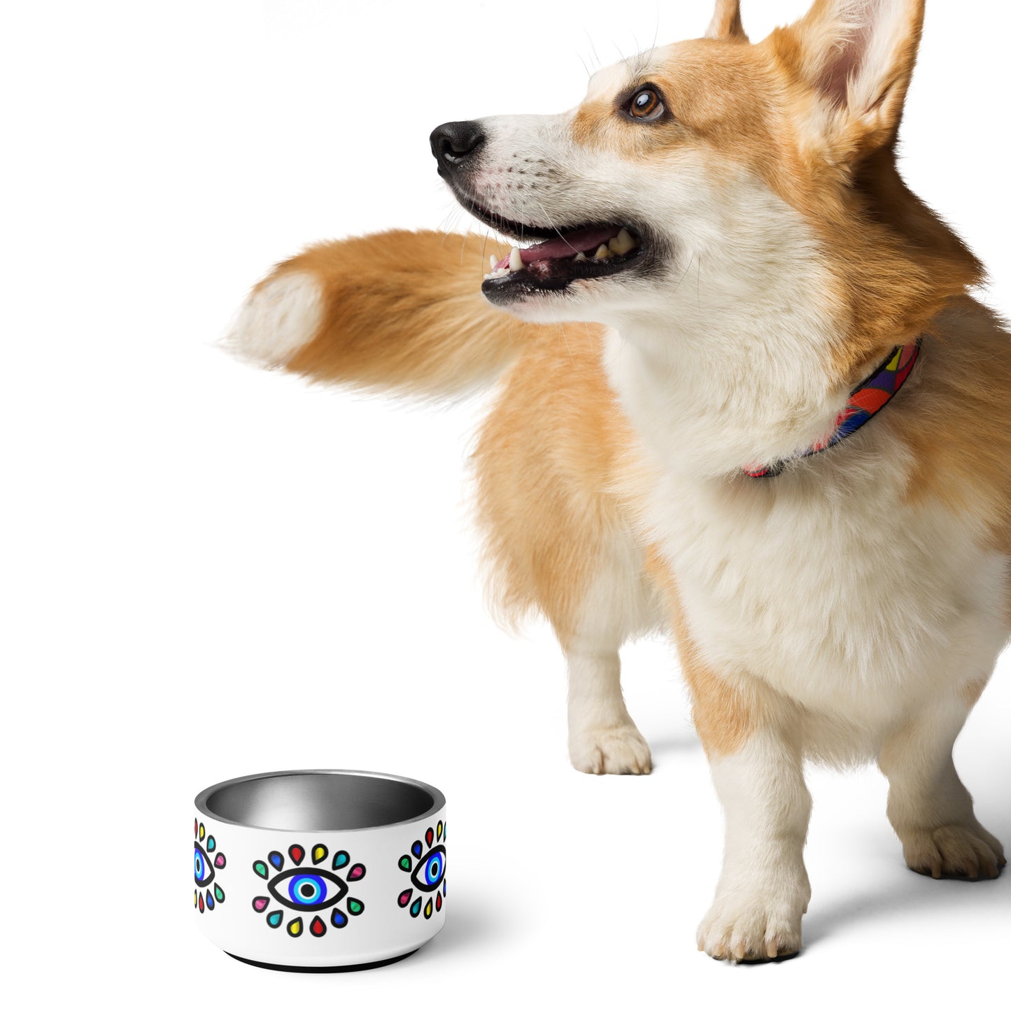 Colorful Eye Pet bowl