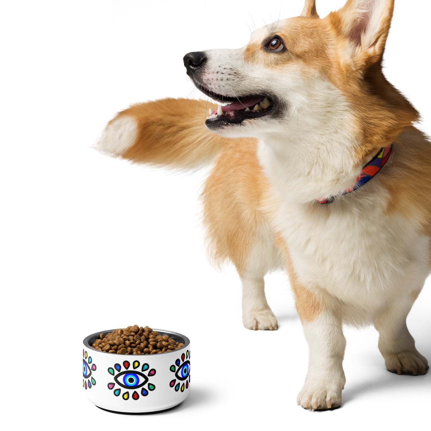 Colorful Eye Pet bowl