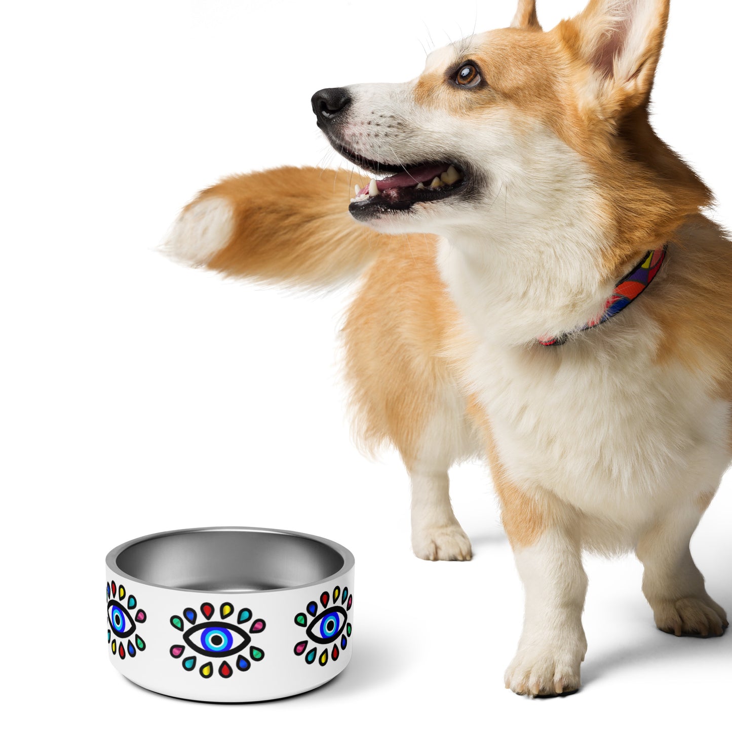 Colorful Eye Pet bowl