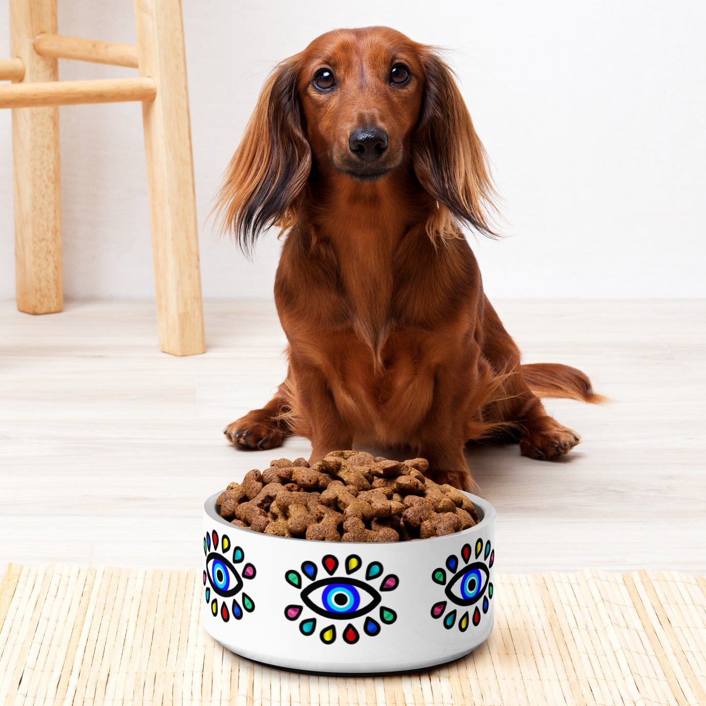 Colorful Eye Pet bowl